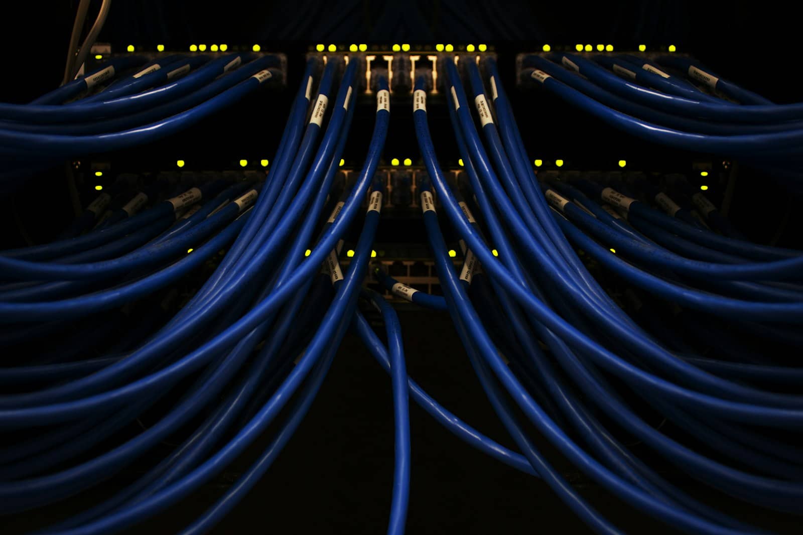Blue network cables in a data center patch panel