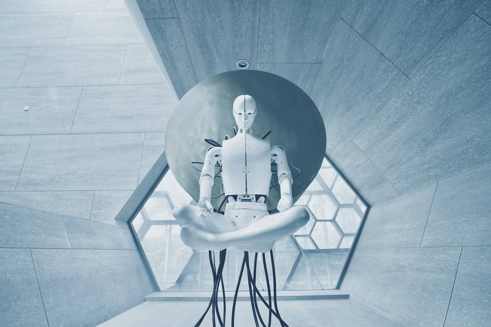 A robot assistant concept