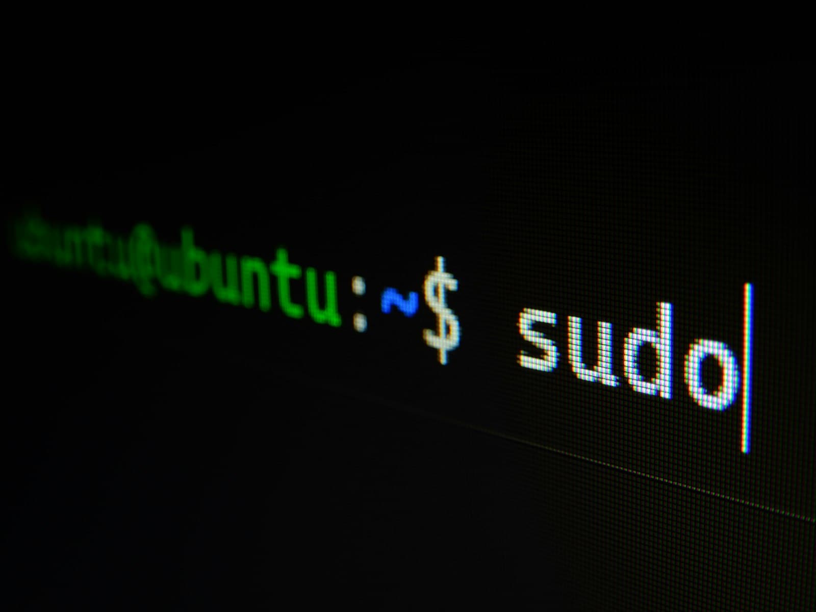 A terminal window showing code, representing a local inference engine running