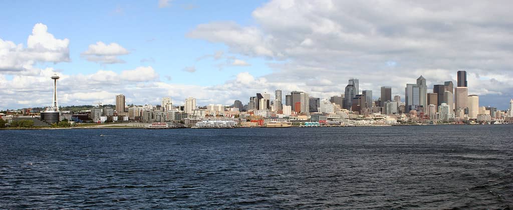 The Seattle skyline including downtown tech office towers