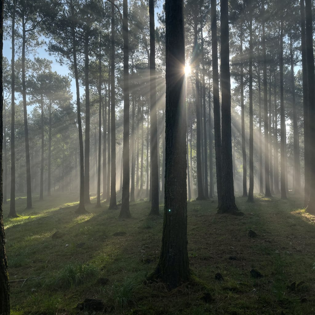 A nature photography image generated with Higgsfield