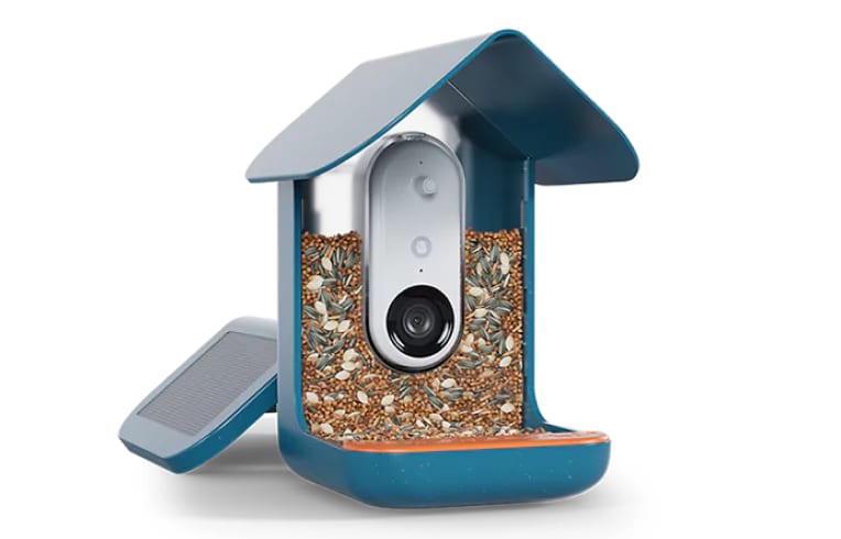Birdbuddy Pro Solar