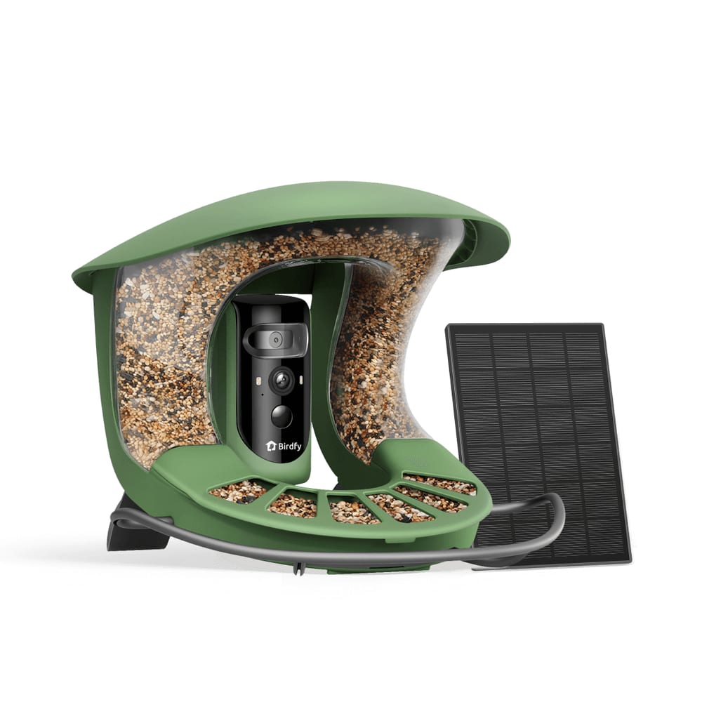 Birdfy Feeder 2 Pro