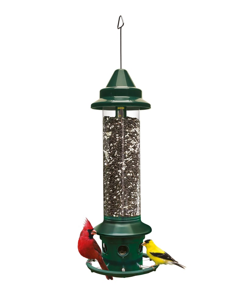 Brome Squirrel Buster Plus