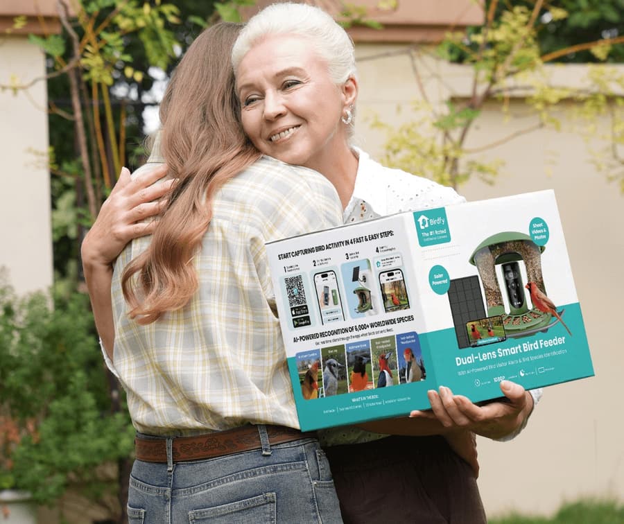The bird feeder camera gift that gets Dad texting you bird photos