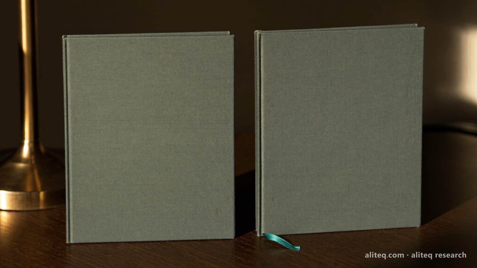 Photograph of two blank grey-green cloth binders side by side on a dark wooden desk in warm late light, one with a small teal ribbon bookmark
